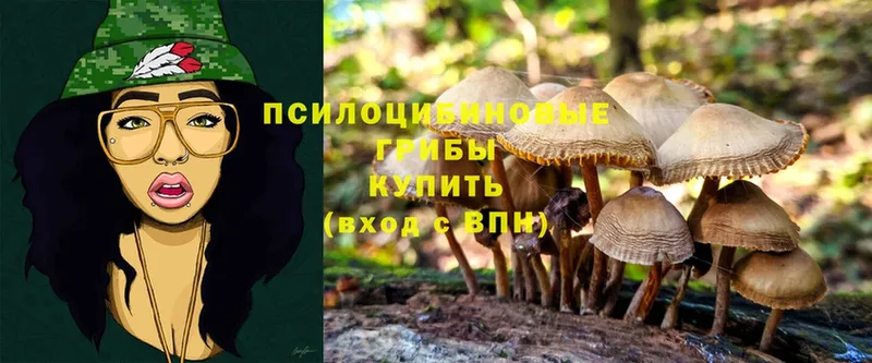 Галлюциногенные грибы MAGIC MUSHROOMS  Находка 